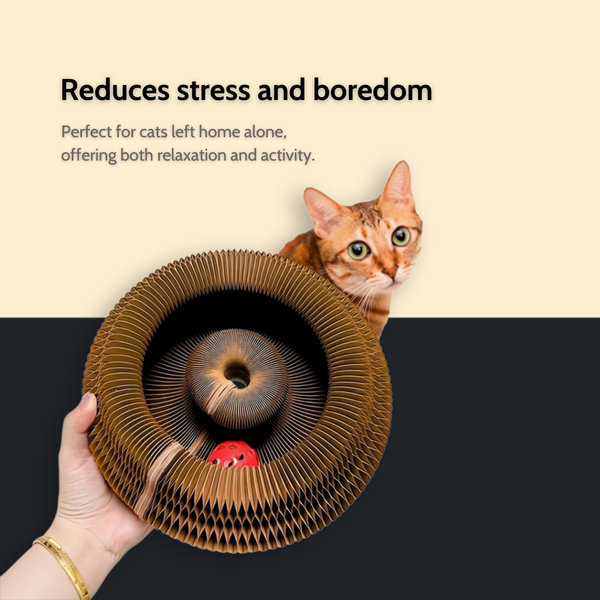 ReadyPaws™ ScratchPlay – Interactive Cat Scratcher