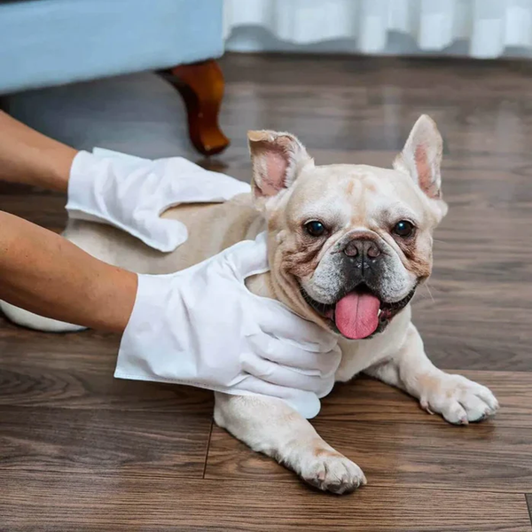 ReadyPaws™ SwiftClean - Eco-Friendly Pet Cleaning Glove