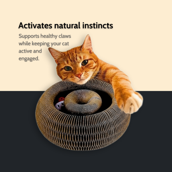 ReadyPaws™ ScratchPlay – Interactive Cat Scratcher