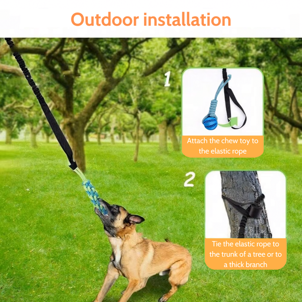 ReadyPaws™ TugToy